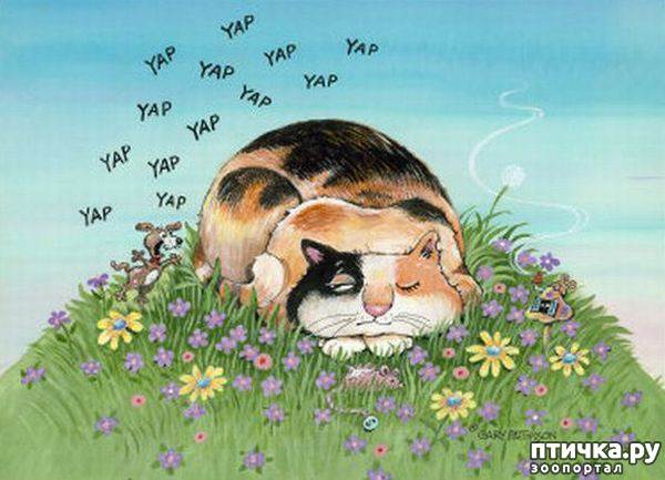 ���� 12: �����������: ����� � �����!!!