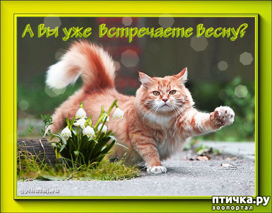 ���� 13: �����������: ����� � �����!!!