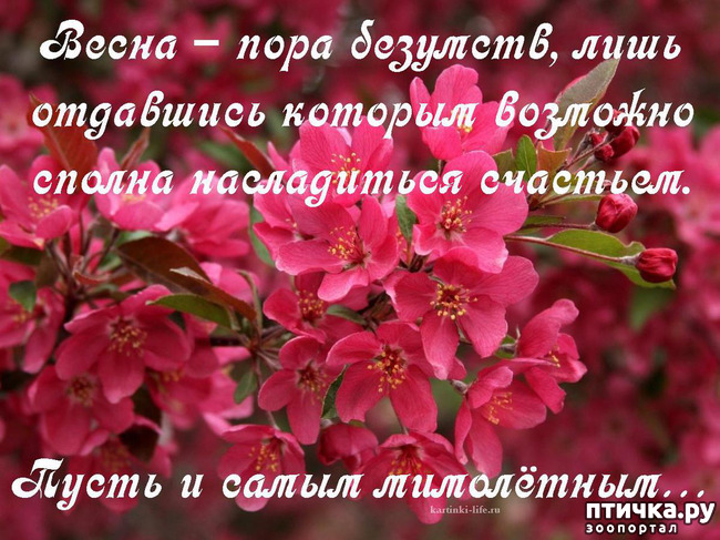 ���� 15: �����������: ����� � �����!!!