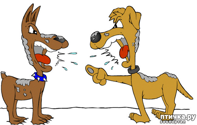 ���� 1: ����� � ����. ������� ������