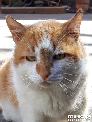 ����: ������������ � ��������� ���������. ������� �������