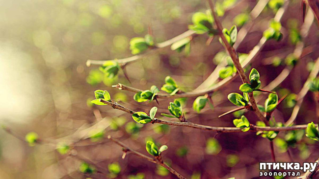 ���� 2: �������� ����������