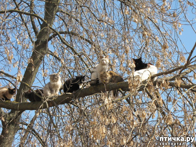 ���� 3: �������� ����������