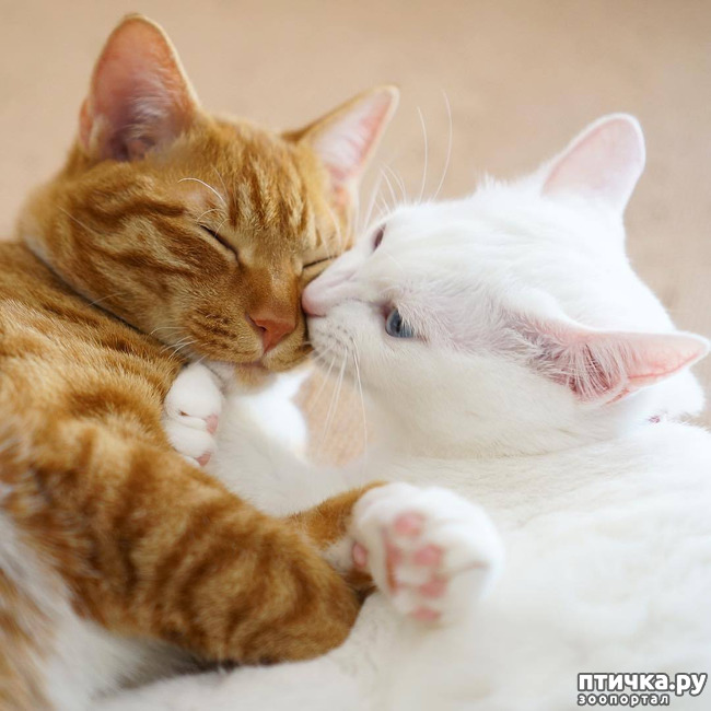 ���� 4: �������� ����������