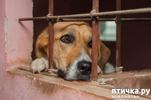 ����: ������� ��������� ������...