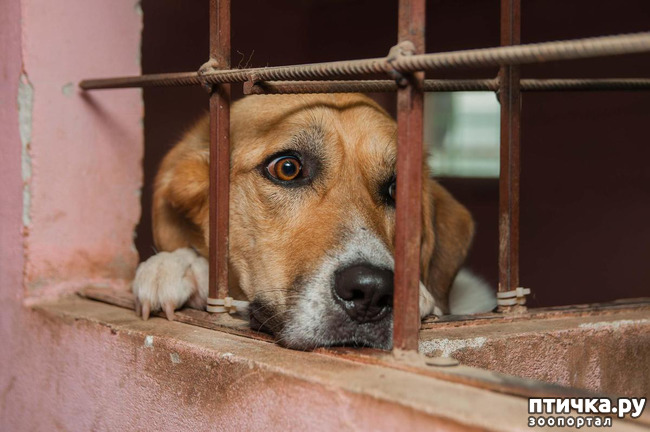 ���� 1: ������� ��������� ������...