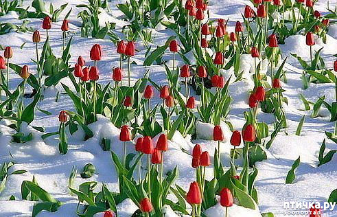 ���� 1: ��������� ����