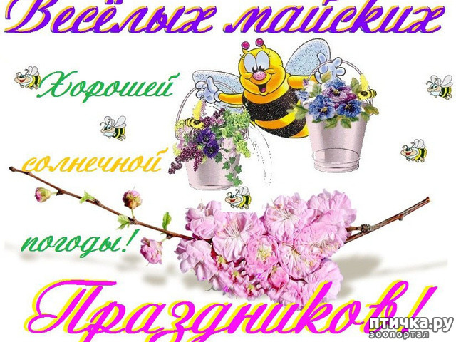  8:  ,   !
