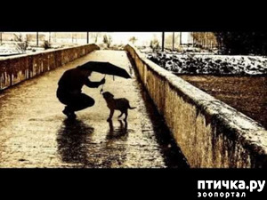 ����: ϸ�.