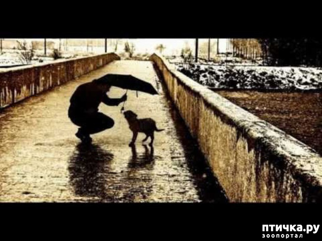 ���� 1: ϸ�.