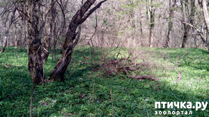 ����: ��������