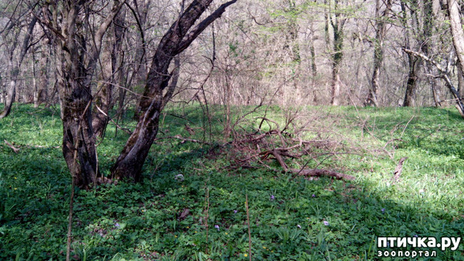 ���� 1: ��������