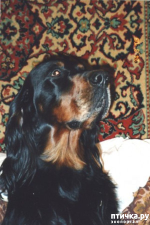 ����: ������ ��� "��������� ���� ����������� ��� ��� �������� �������� � ����������� ����"