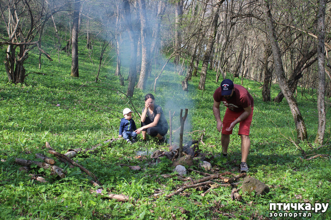 ���� 5: ��������