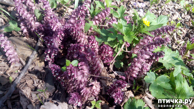 ���� 6: ��������