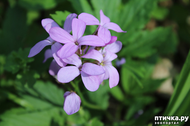 ���� 7: ��������