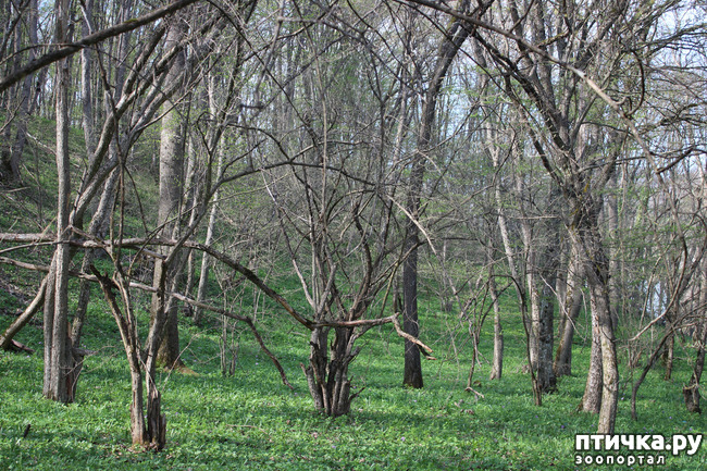 ���� 8: ��������