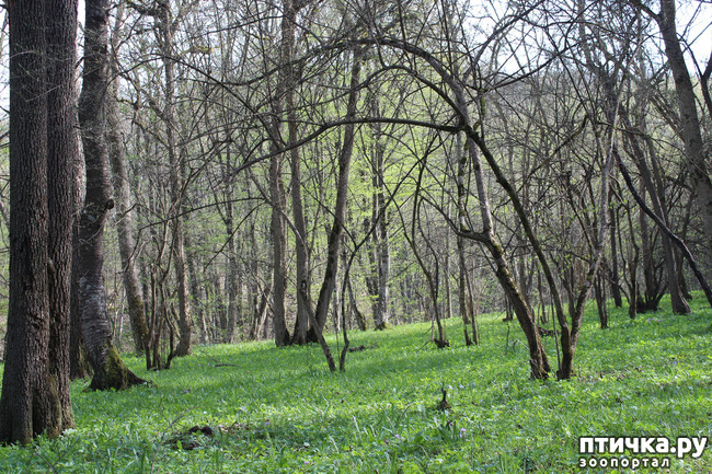 ���� 9: ��������