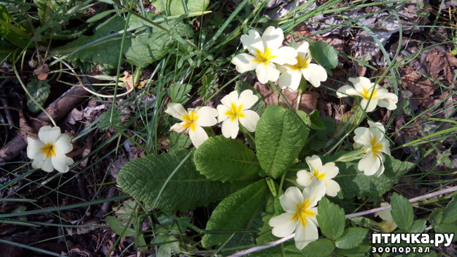 ���� 11: ��������