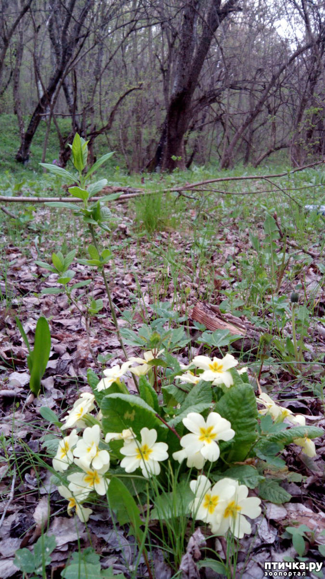 ���� 12: ��������