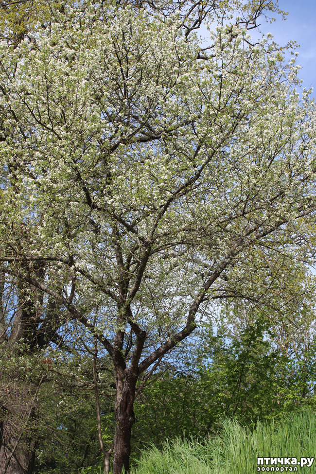 ���� 13: ��������