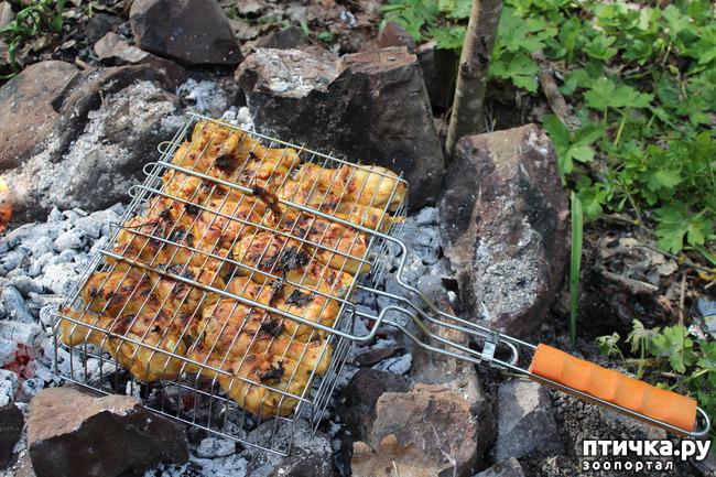 ���� 14: ��������