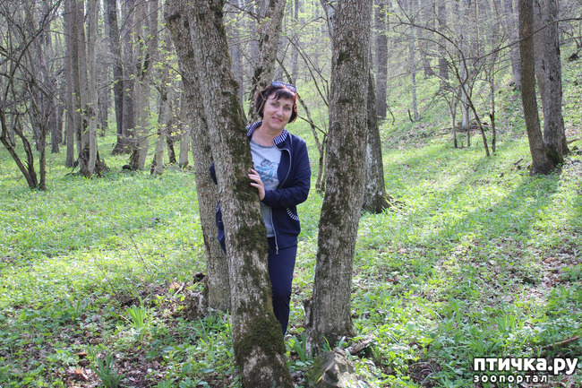 ���� 15: ��������