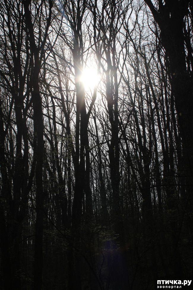 ���� 16: ��������