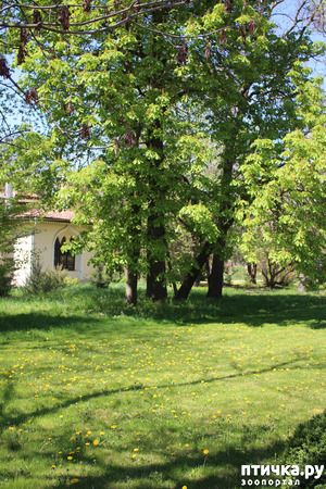 ����: �������� � �����-3