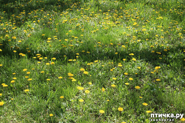 ���� 2: �������� � �����-3