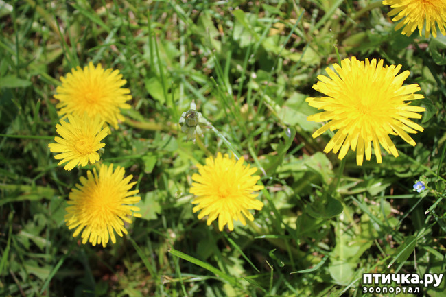 ���� 3: �������� � �����-3