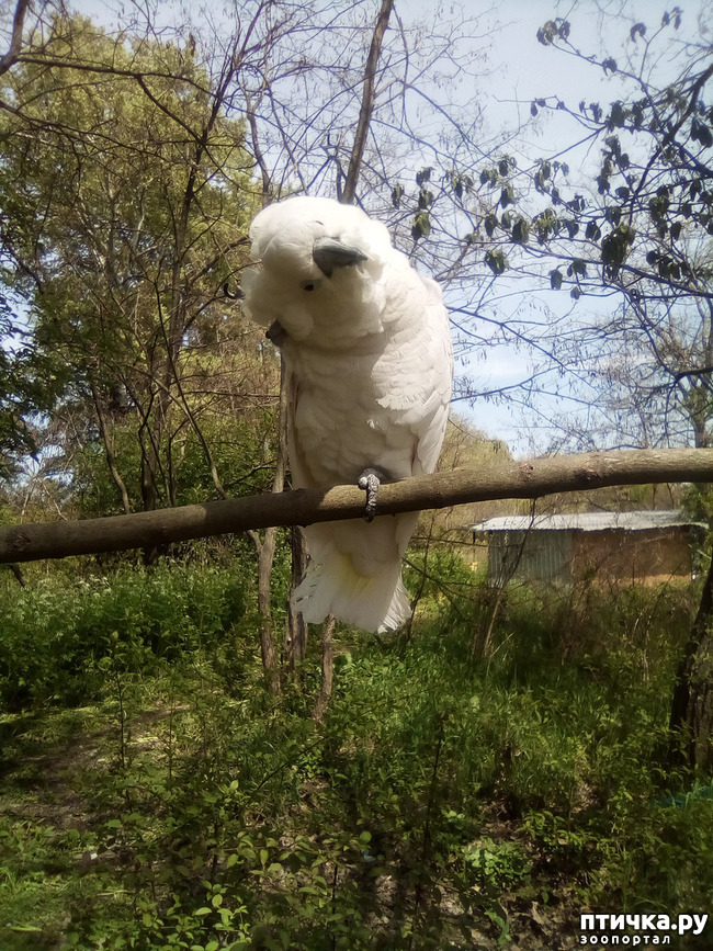 ���� 9: ����� ������ �����...