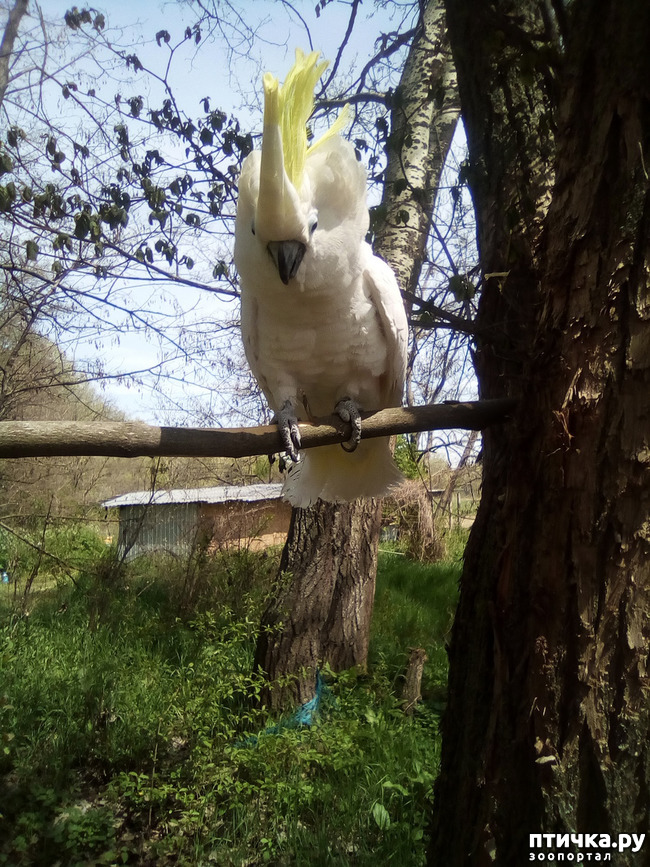 ���� 10: ����� ������ �����...