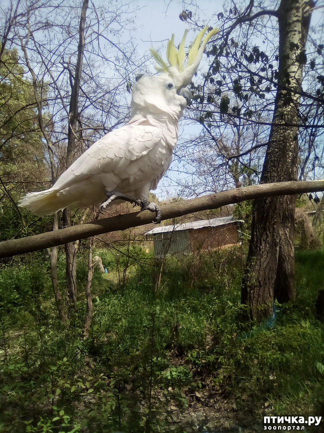 ���� 11: ����� ������ �����...