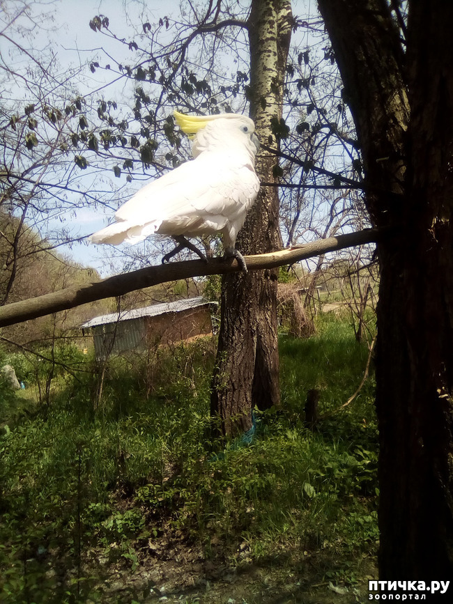 ���� 12: ����� ������ �����...