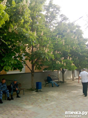 ����: �������� � ���)))