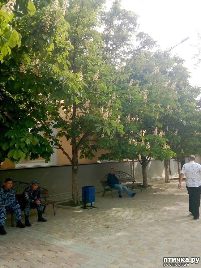 ���� 1: �������� � ���)))