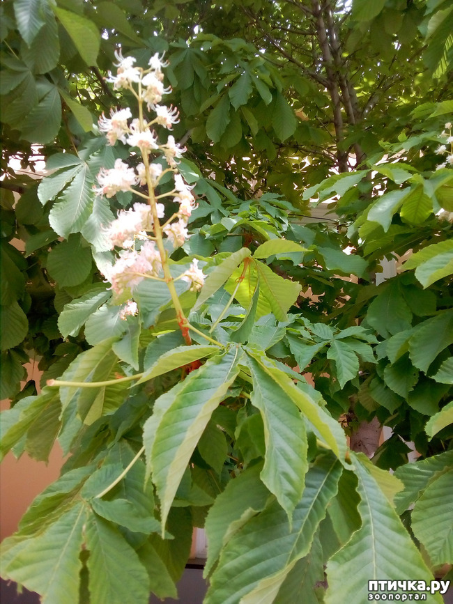 ���� 2: �������� � ���)))