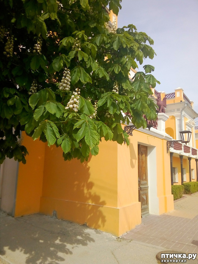 ���� 5: �������� � ���)))