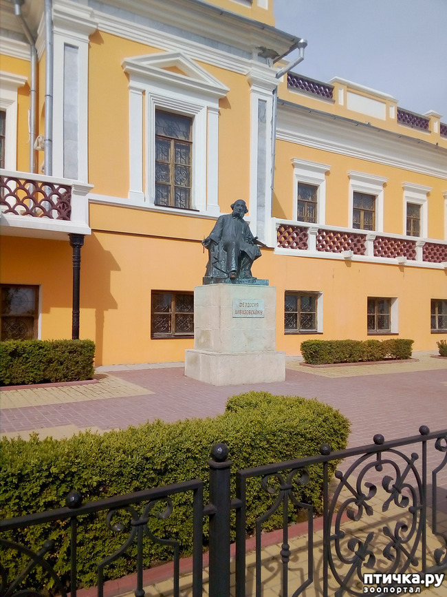 ���� 6: �������� � ���)))