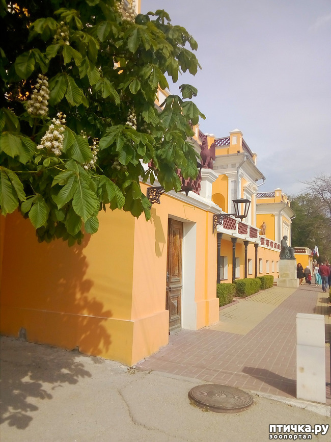 ���� 4: �������� � ���)))