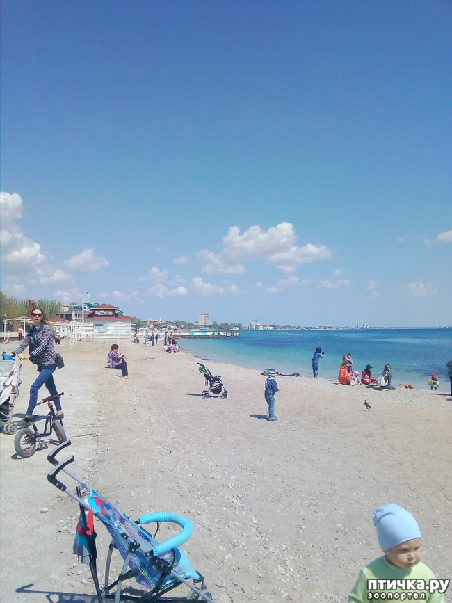 ���� 9: �������� � ���)))