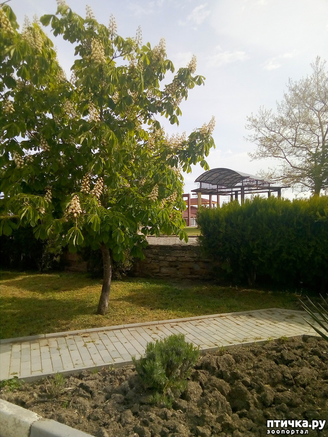 ���� 7: �������� � ���)))