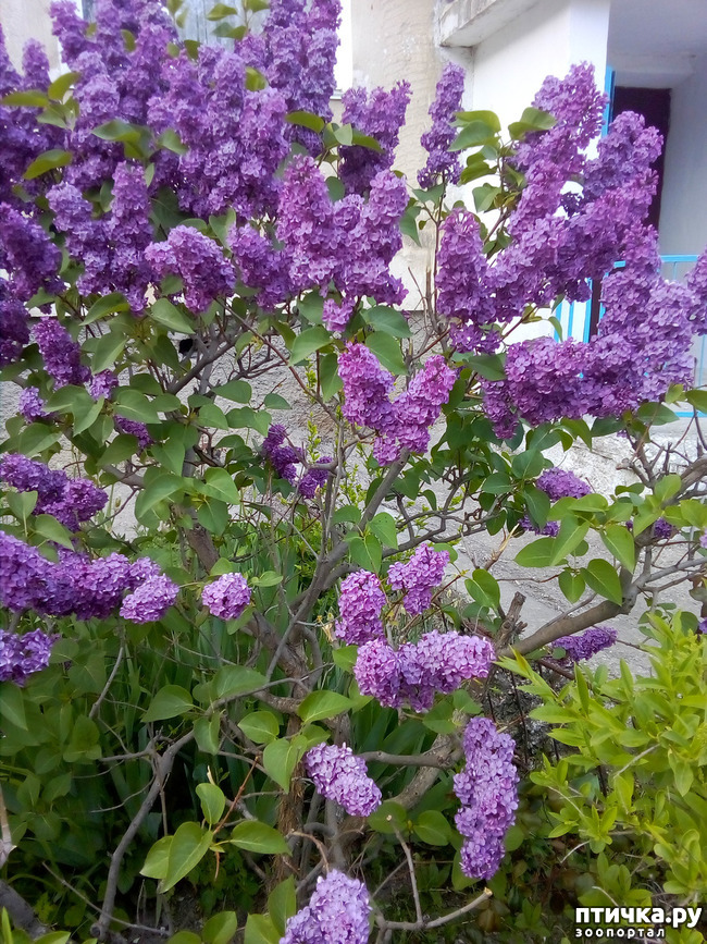 ���� 8: �������� � ���)))