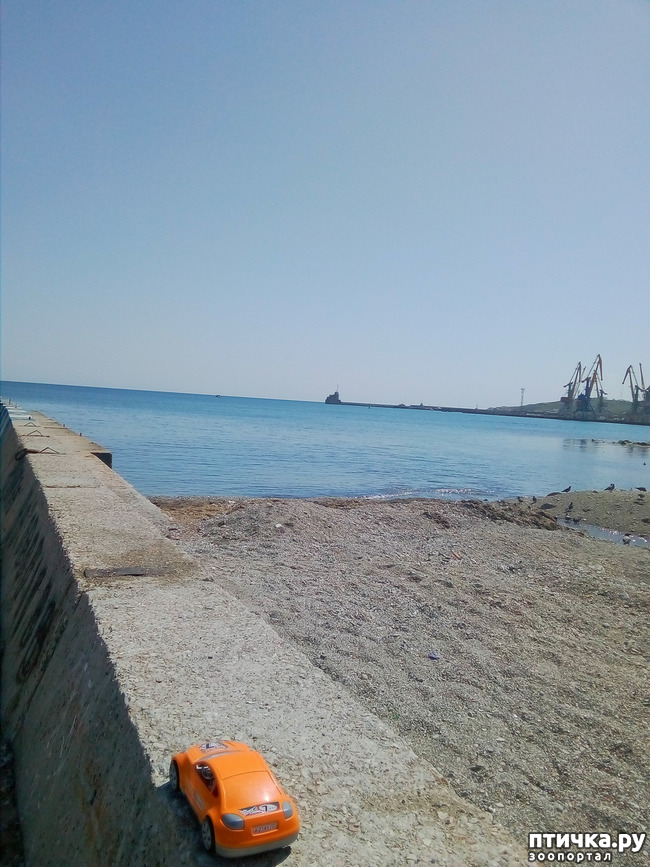 ���� 10: �������� � ���)))