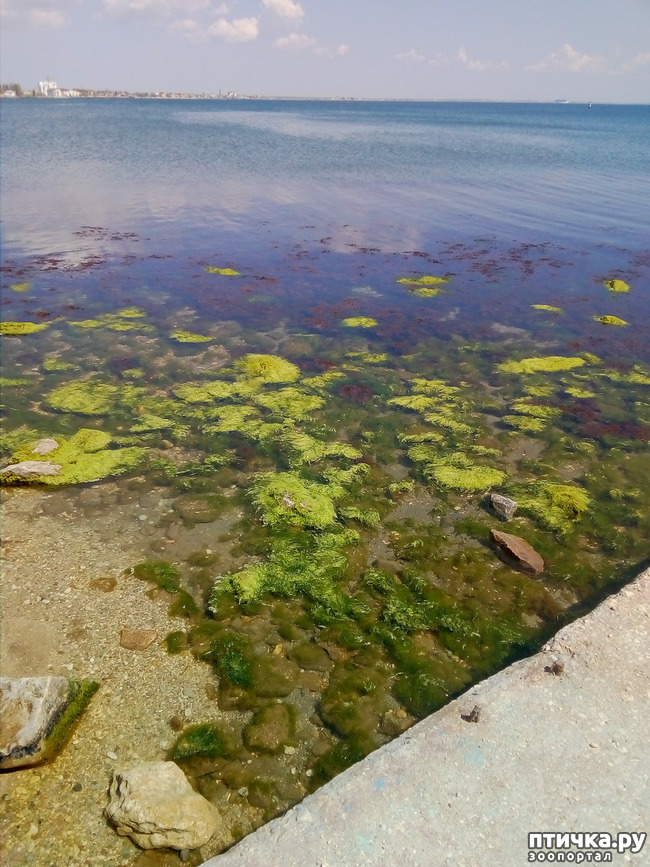 ���� 12: �������� � ���)))