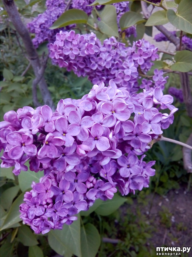 ���� 13: �������� � ���)))