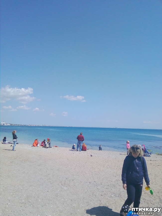 ���� 11: �������� � ���)))