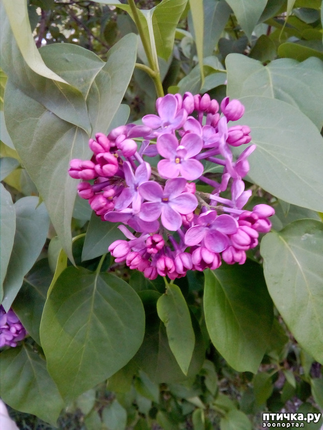 ���� 14: �������� � ���)))