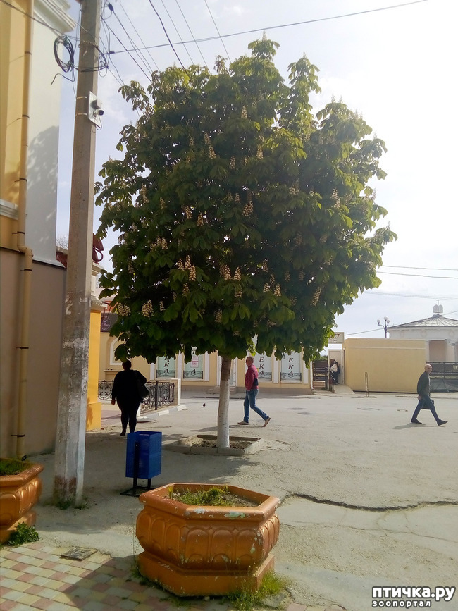 ���� 3: �������� � ���)))